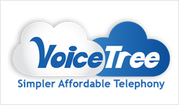 A Cloud telephony startup, VoiceTree- Bootstrapped, Profitable, Still growing 