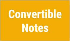 Convertible Notes

