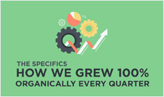 The specifics – How we grew 100% organically every quarter