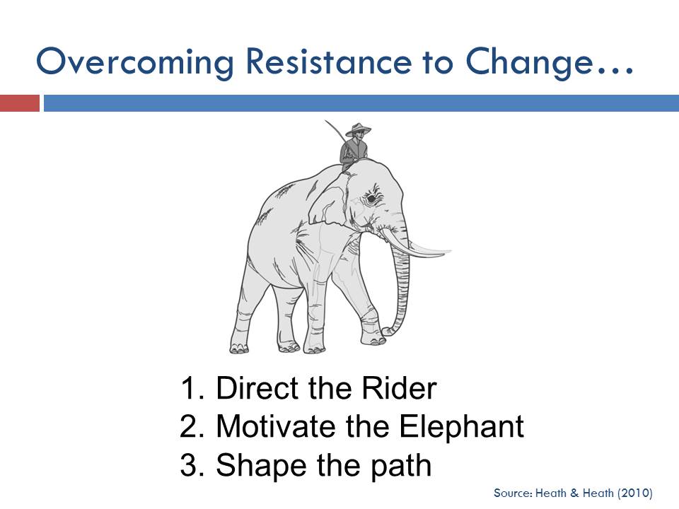 Elephant Rider Productnation