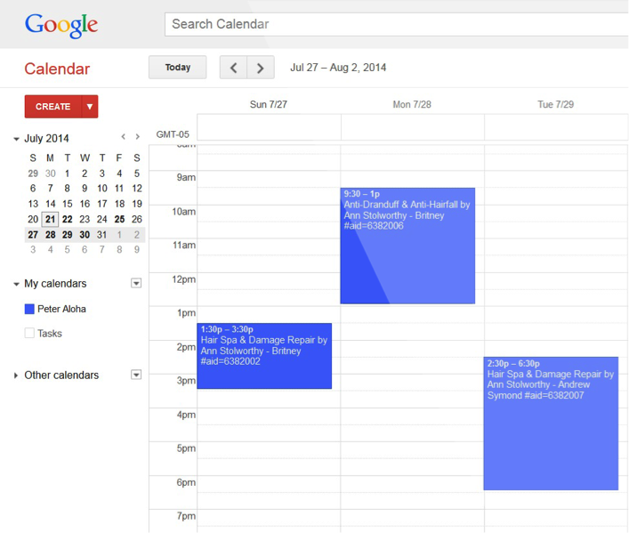 Google Calendar Integration ProductNation