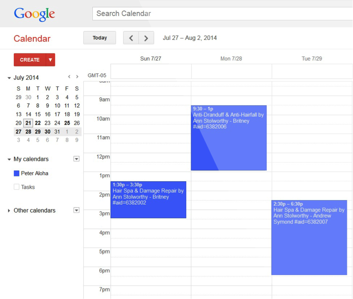 Google Calendar Integration